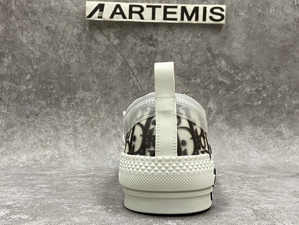 Dior And Shawn B23 Slip On Logo Oblique