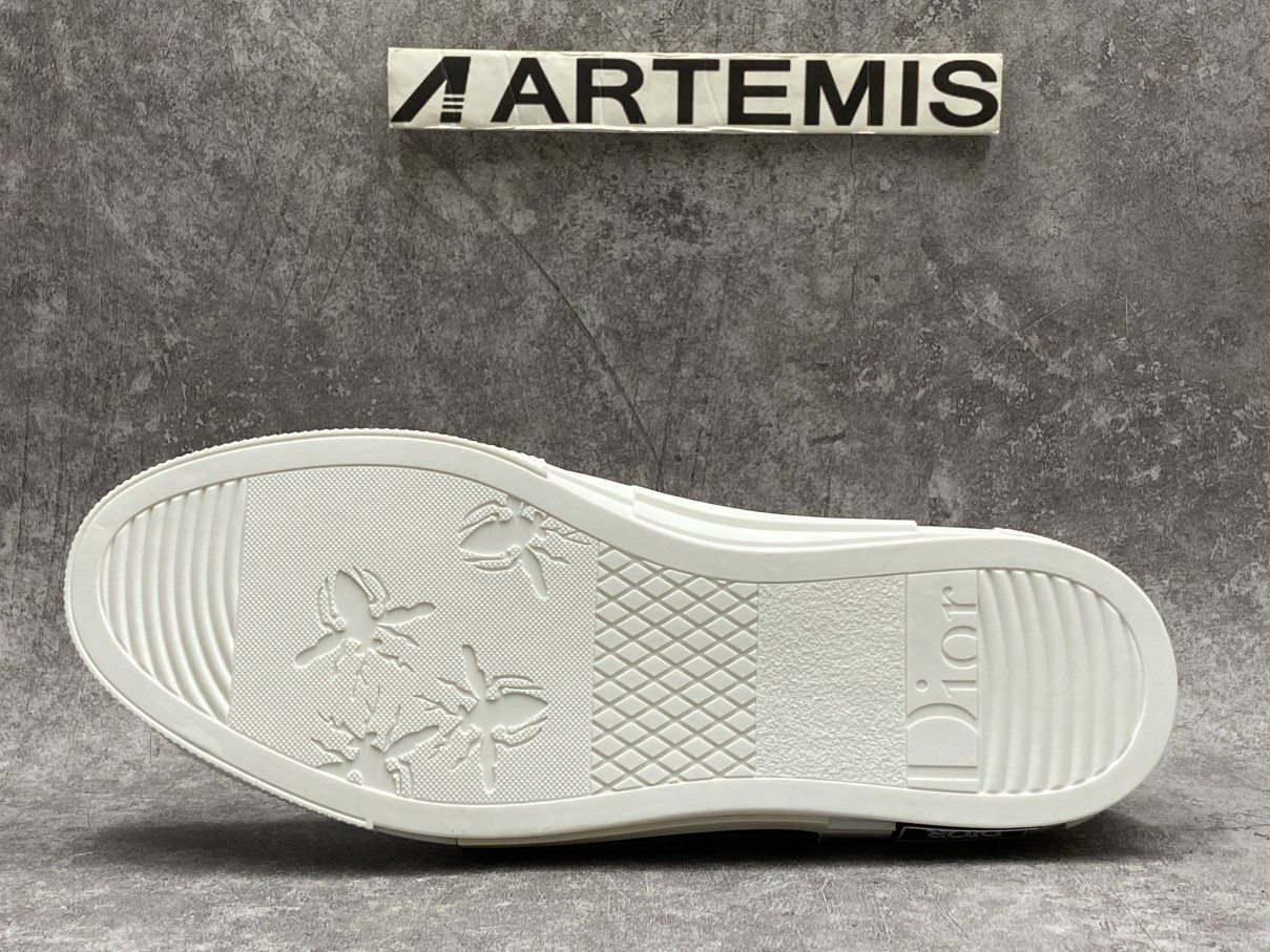 Dior And Shawn B23 Slip On Logo Oblique