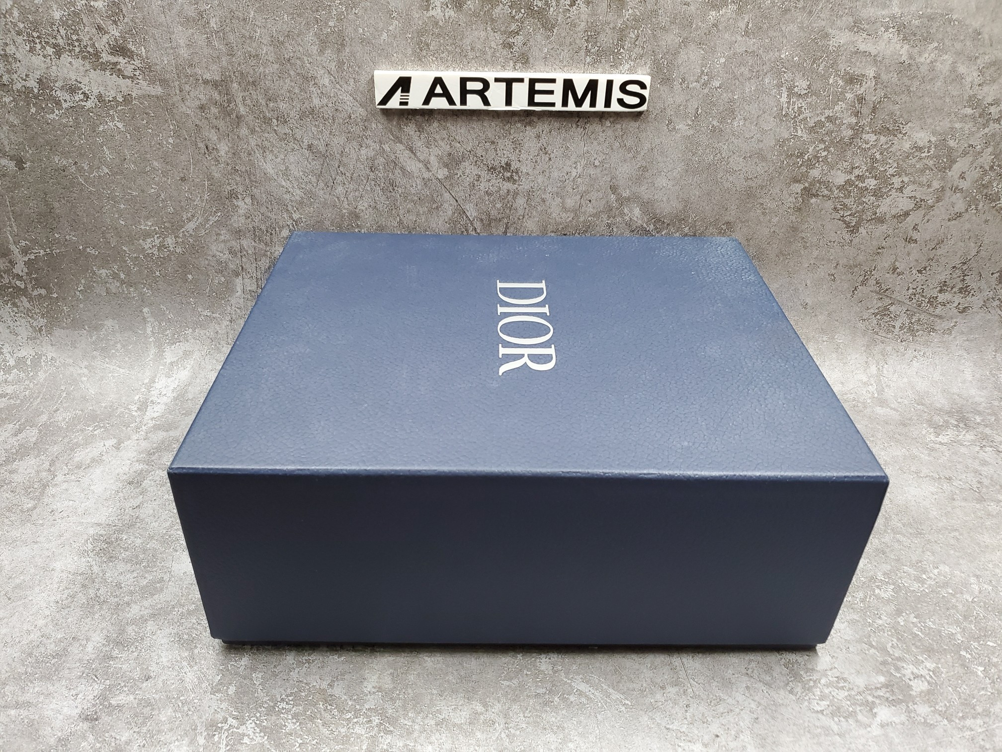 Dior B23 High Top Logo Oblique