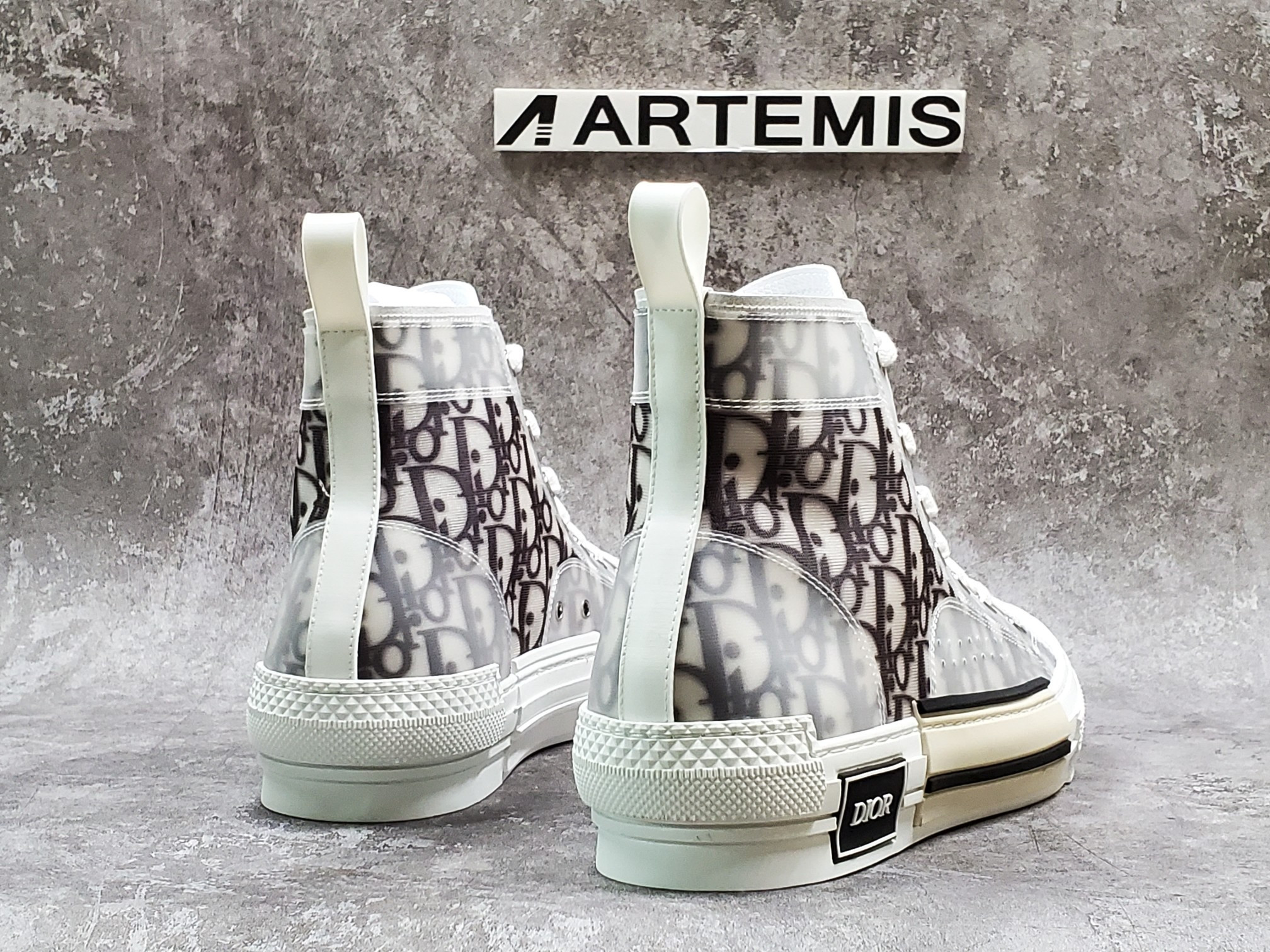 Dior B23 High Top Logo Oblique