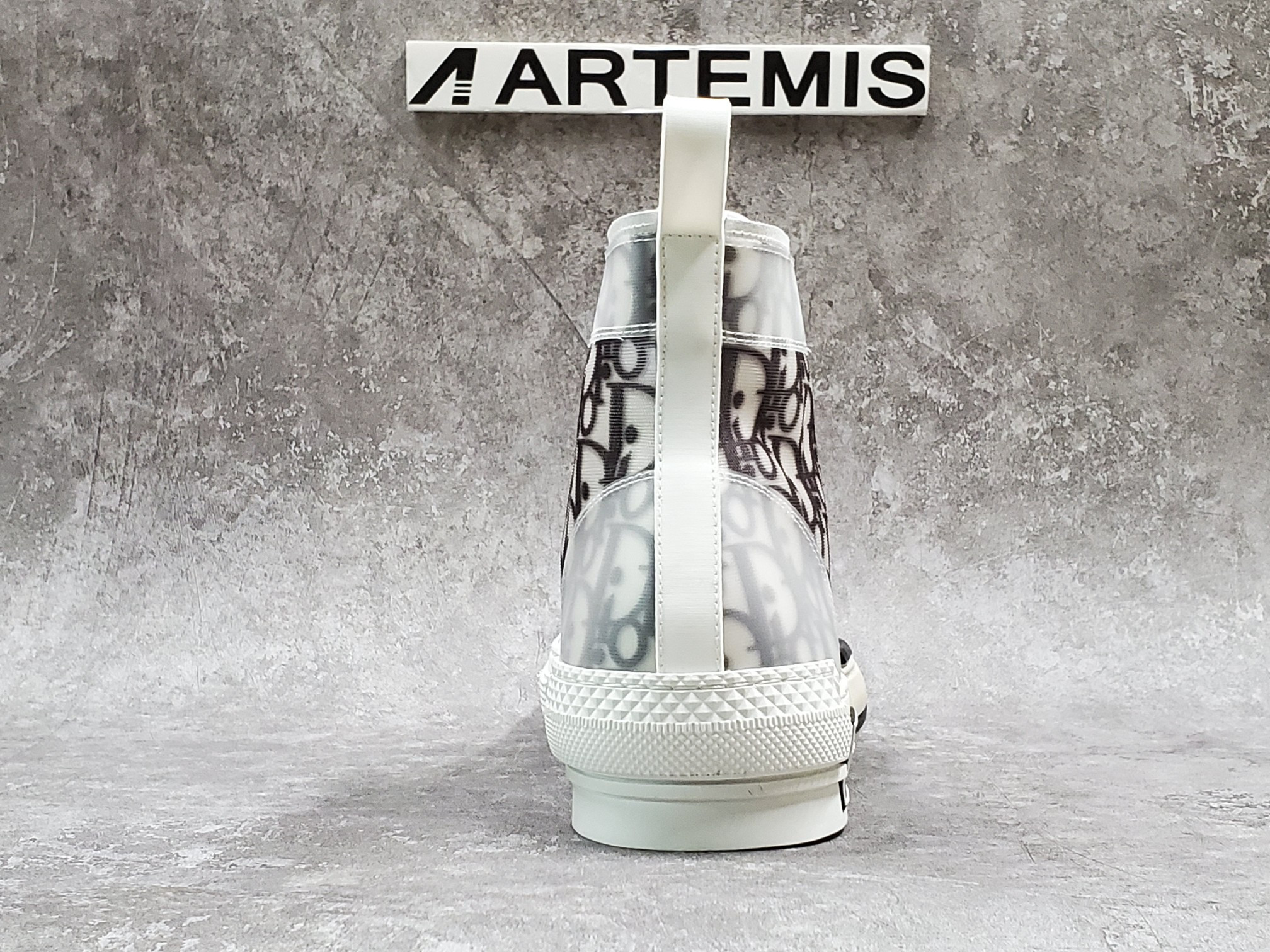 Dior B23 High Top Logo Oblique