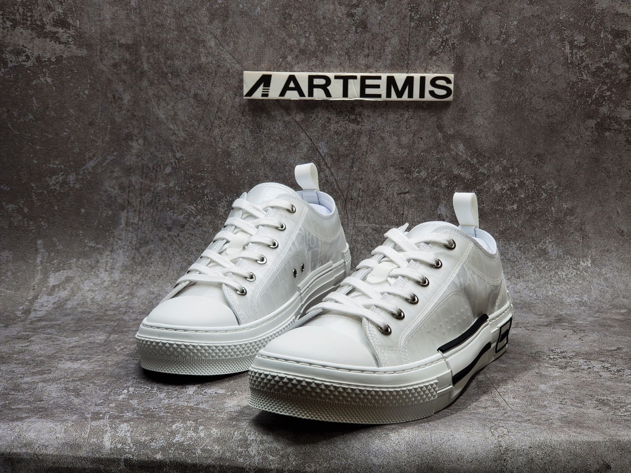 Dior B23 Low Top Oblique