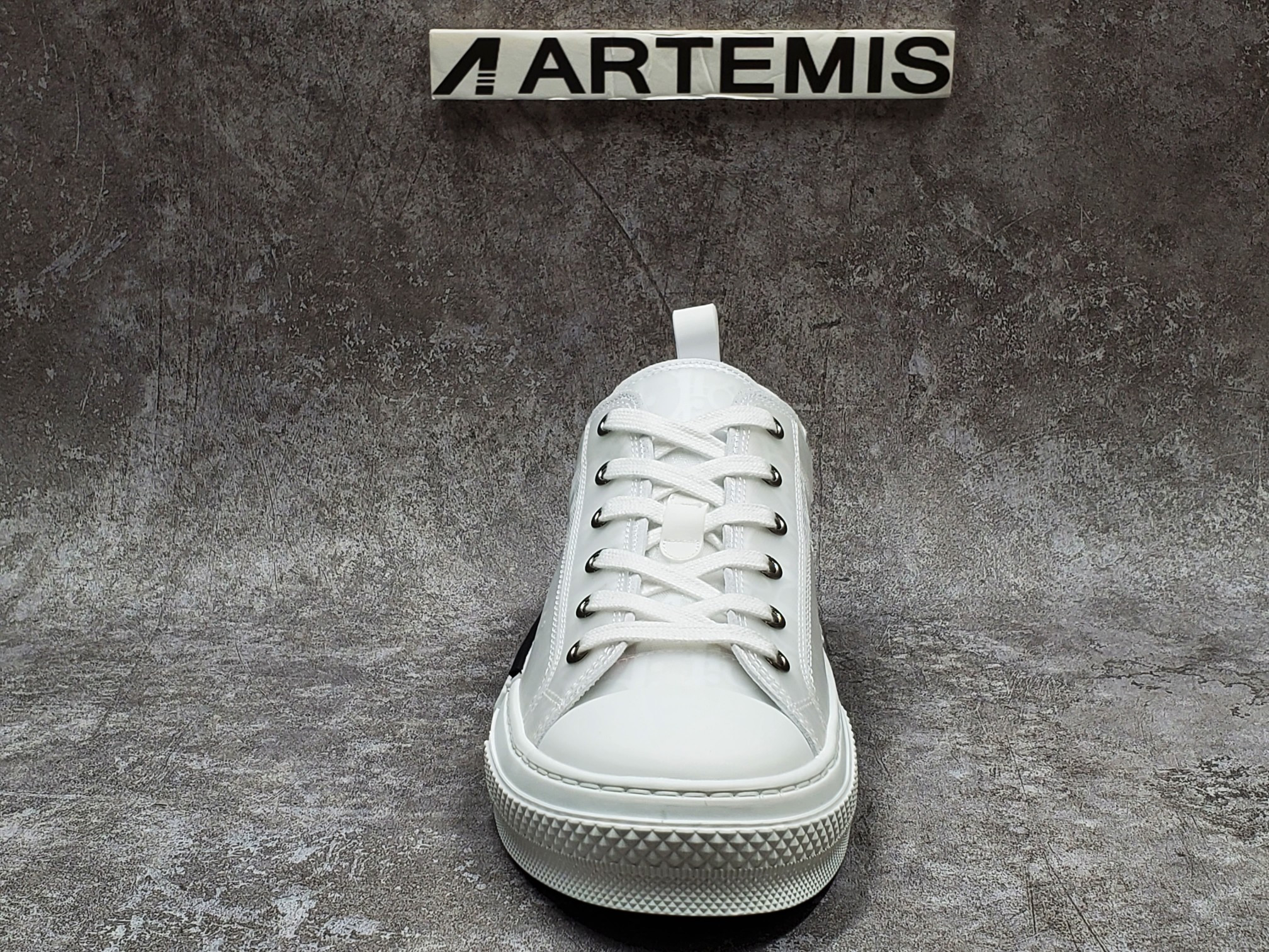 Dior B23 Low Top Oblique