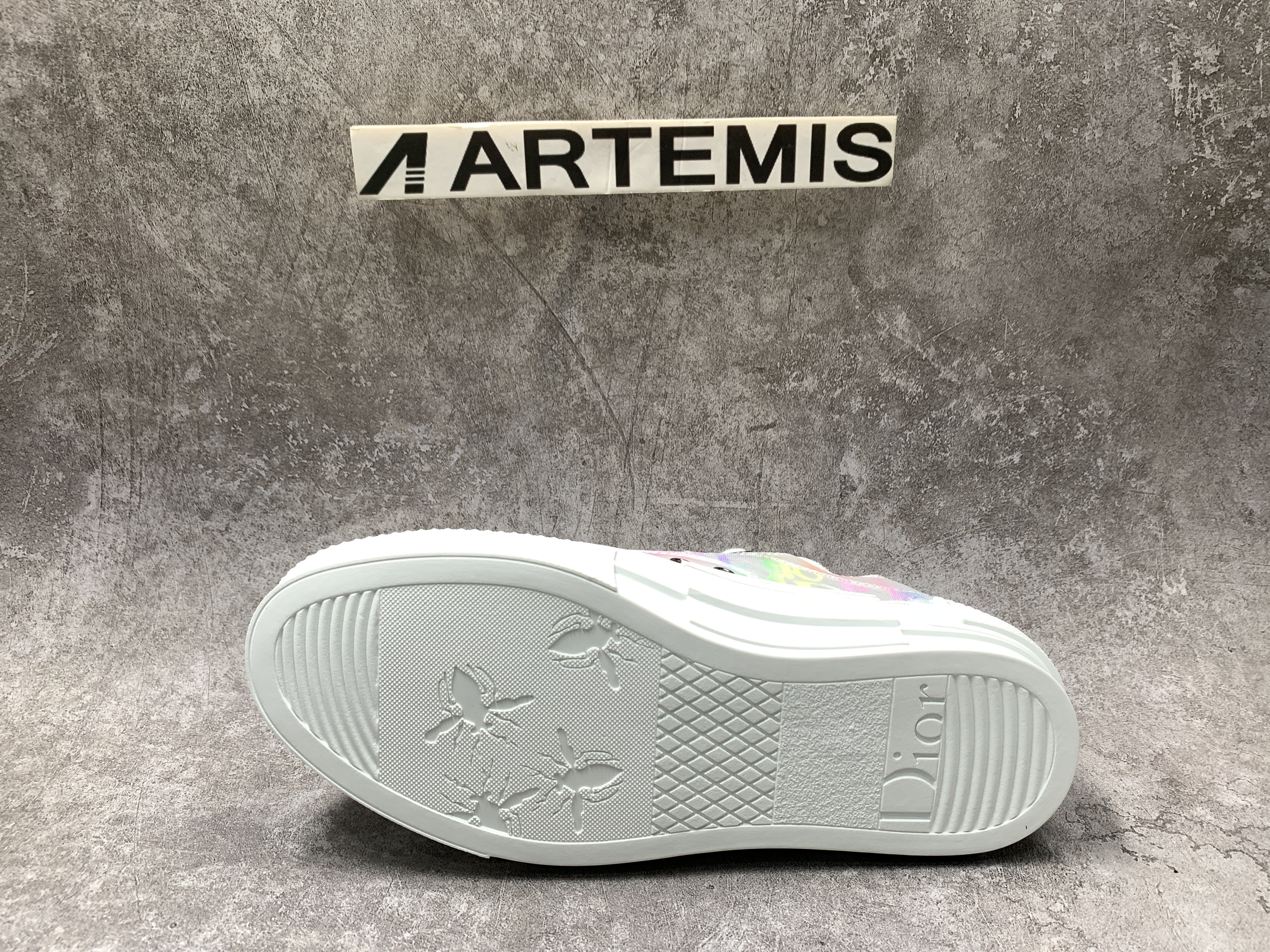 Dior B23 Low MixColor