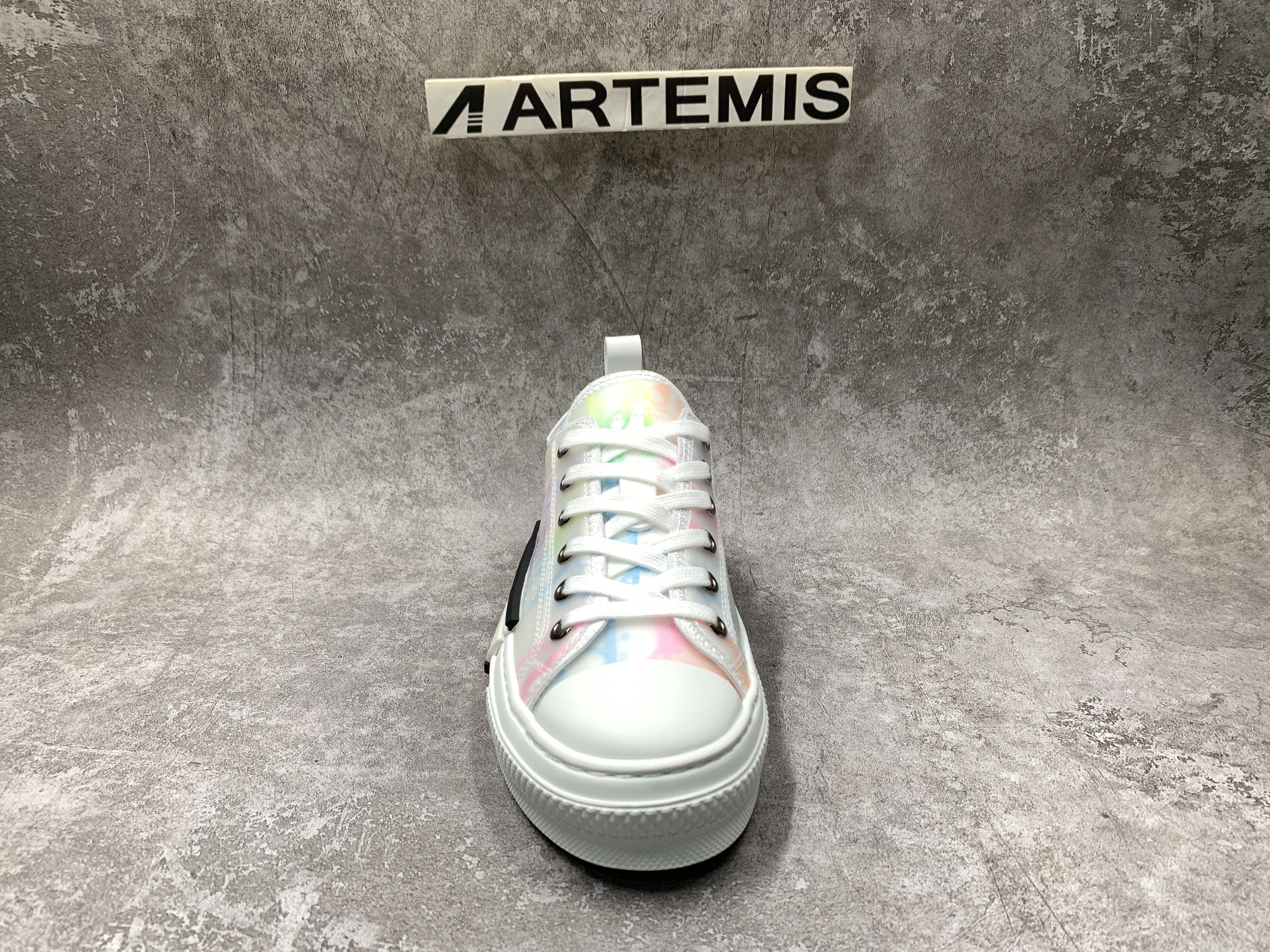 Dior B23 Low MixColor