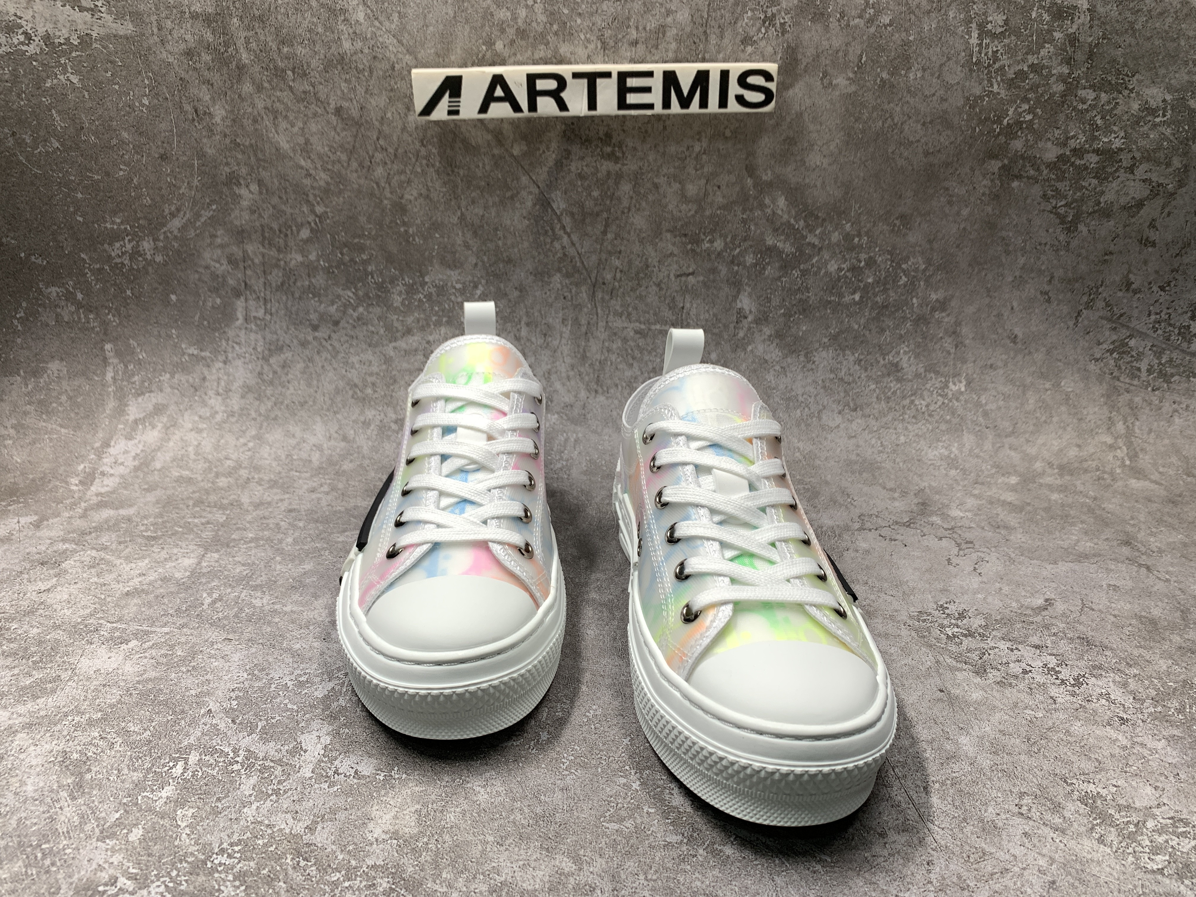 Dior B23 Low MixColor