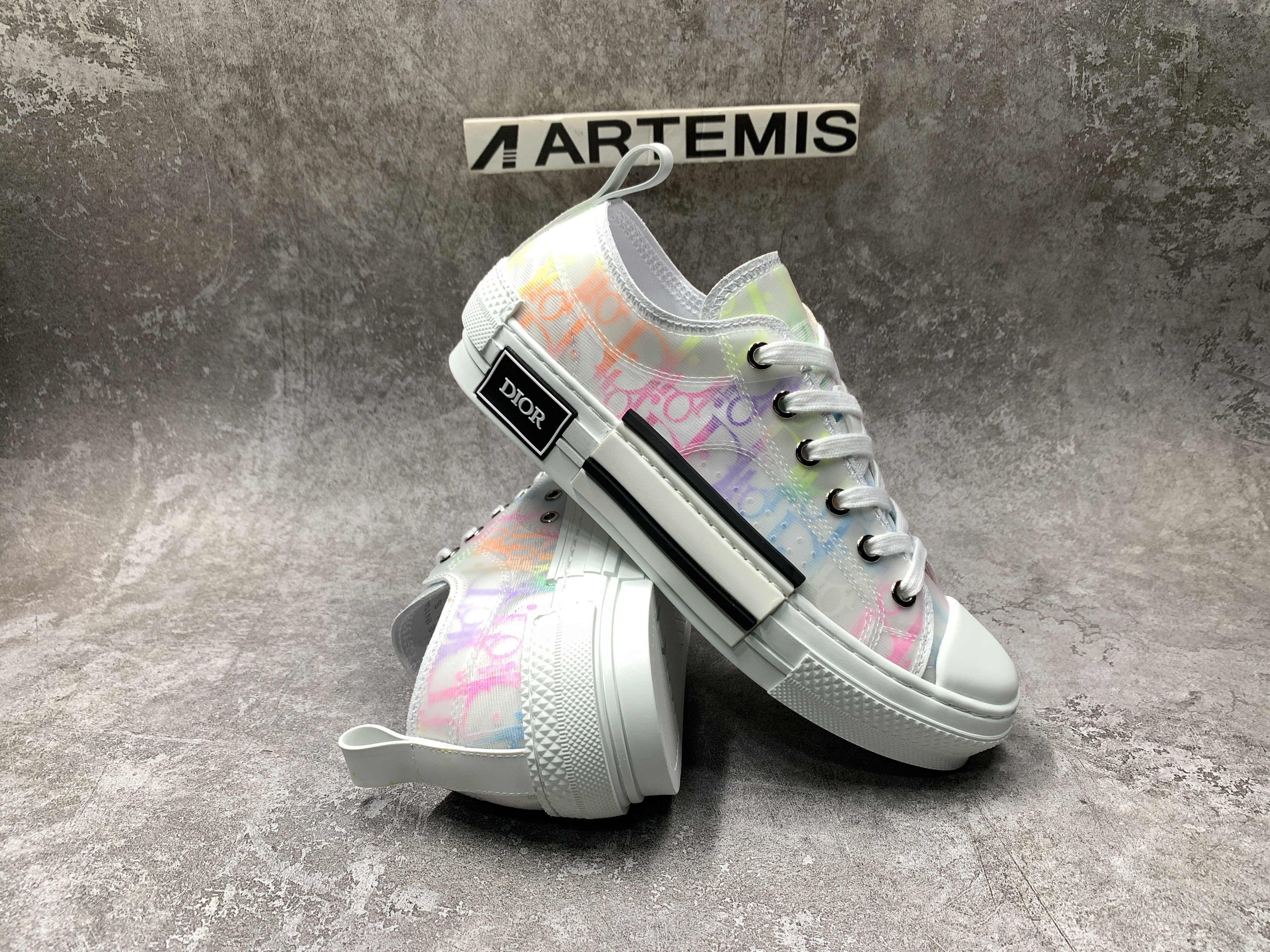 Dior B23 Low MixColor