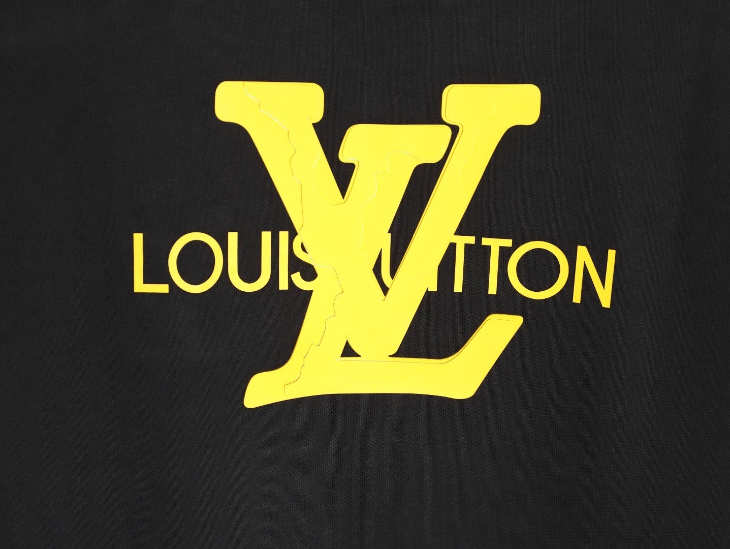 Louis Vuitton LV 25Fw Hoodies