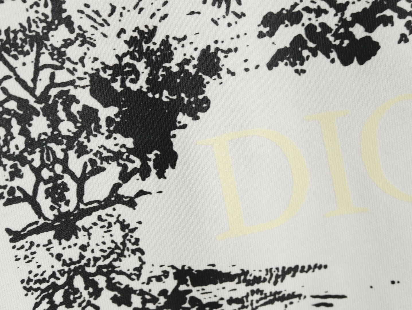 Dior 25SS Short-sleeved T-shirt