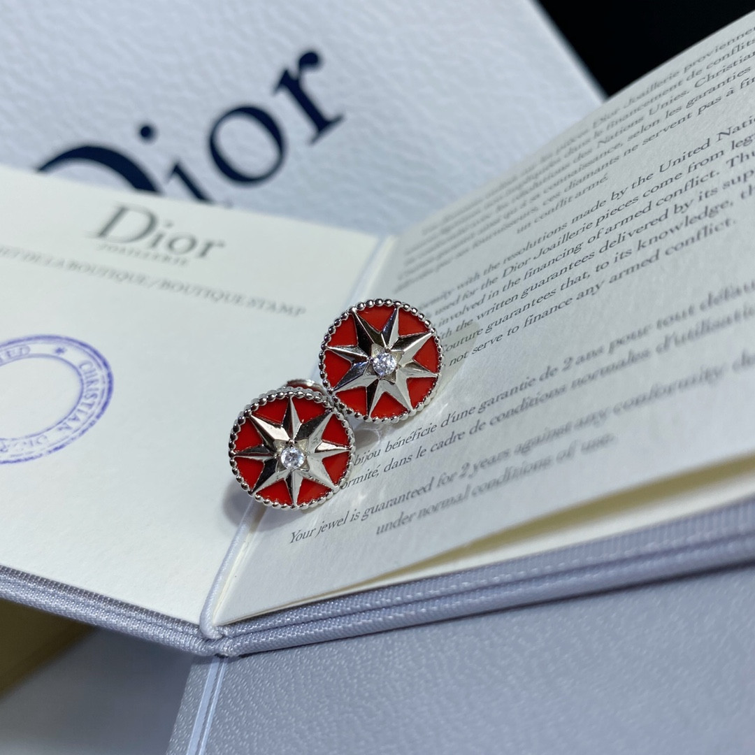 Dior compass Stud Earrings