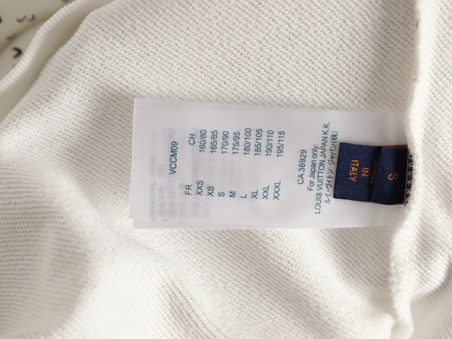 Louis Vuitton 25Fw Hoodies