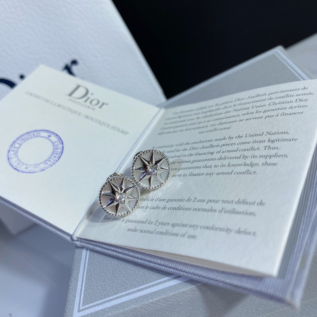 Dior compass Stud Earrings