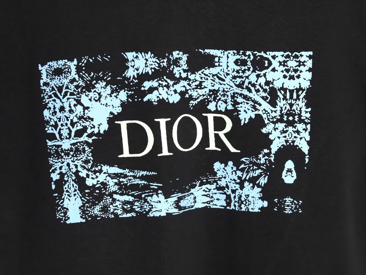 Dior 25SS Short-sleeved T-shirt