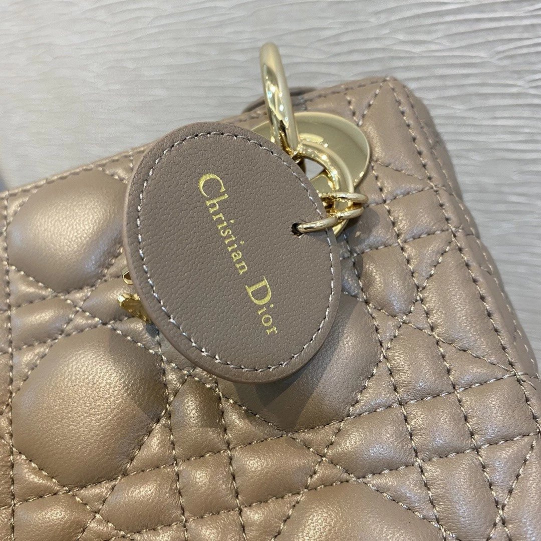 MINI LADY DIOR DIORAMOUR BAG 6.5 x 6 x 3 inches