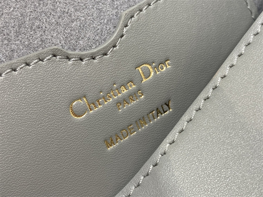 DIOR BOBBY EAST-WEST BAG Latte Box Calfskin Grey
