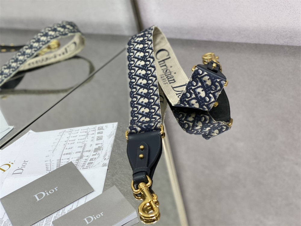 LARGE DIOR BOBBY BAG Light green Box Calfskin