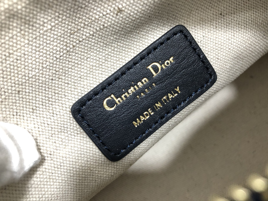 Medium Dior travel Nomad Pouch