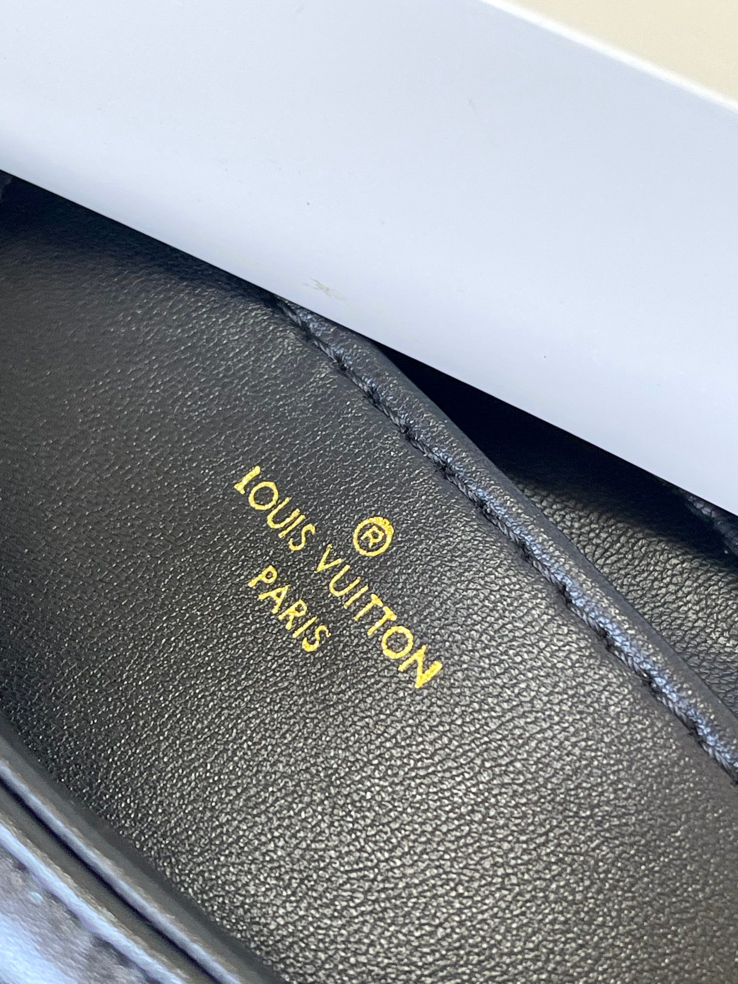 LOUIS VUITTON M23689 GO-14 GM 12.2 x 7.7 x 4.3 inches