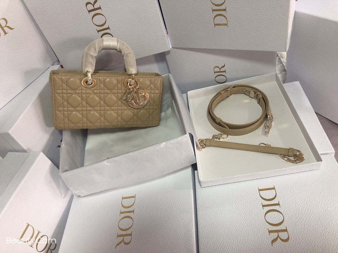 Dior Lady D-Joy bag medium Sad Colored 26 x 13.5 x 5 cm
