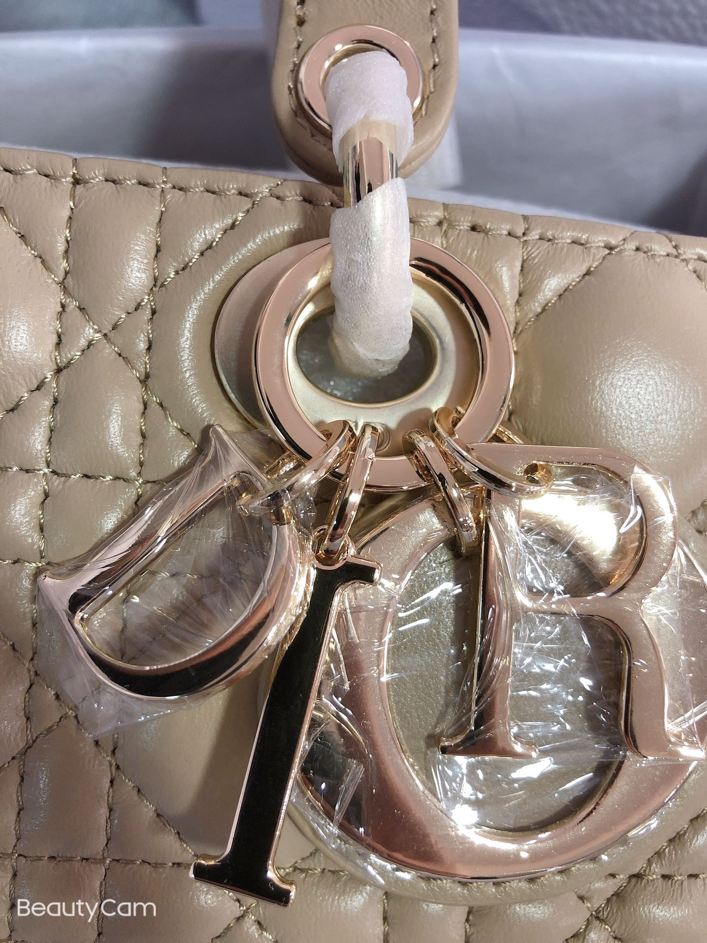 Dior Lady D-Joy bag medium Sad Colored 26 x 13.5 x 5 cm