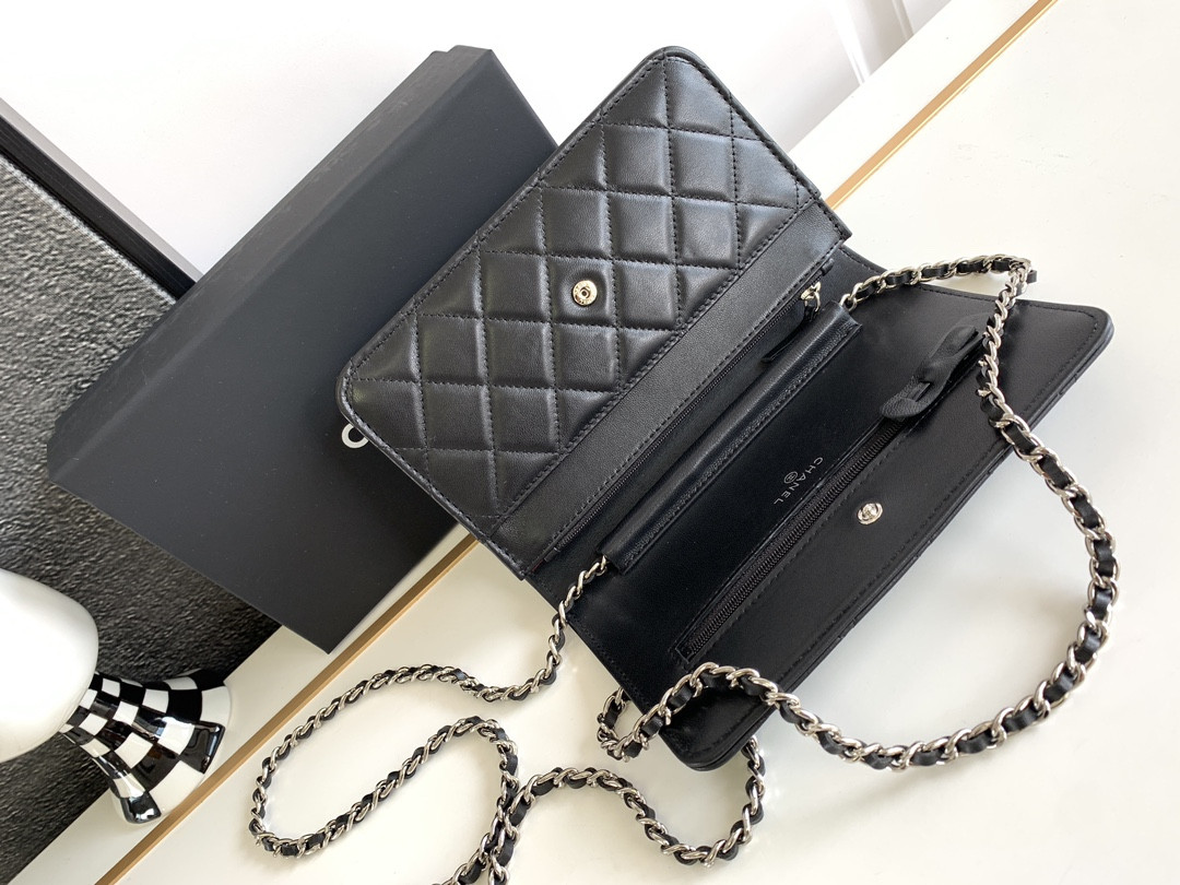 CHANEL CLASSIC WALLET ON CHAIN 4.8 × 7.5 × 1.4 in