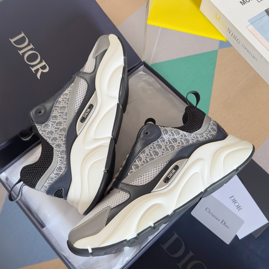 UA Dior B22 gray Sneaker