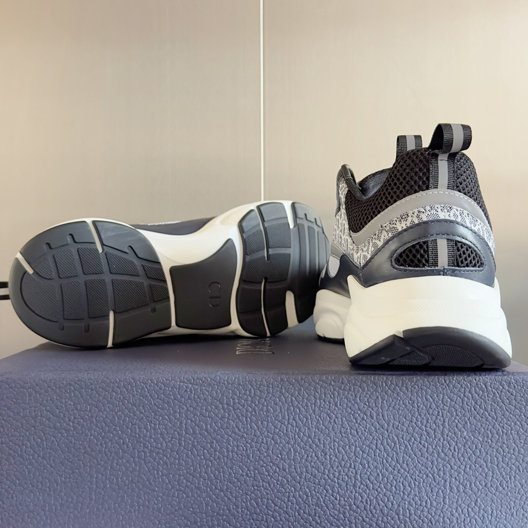 UA Dior B22 gray Sneaker