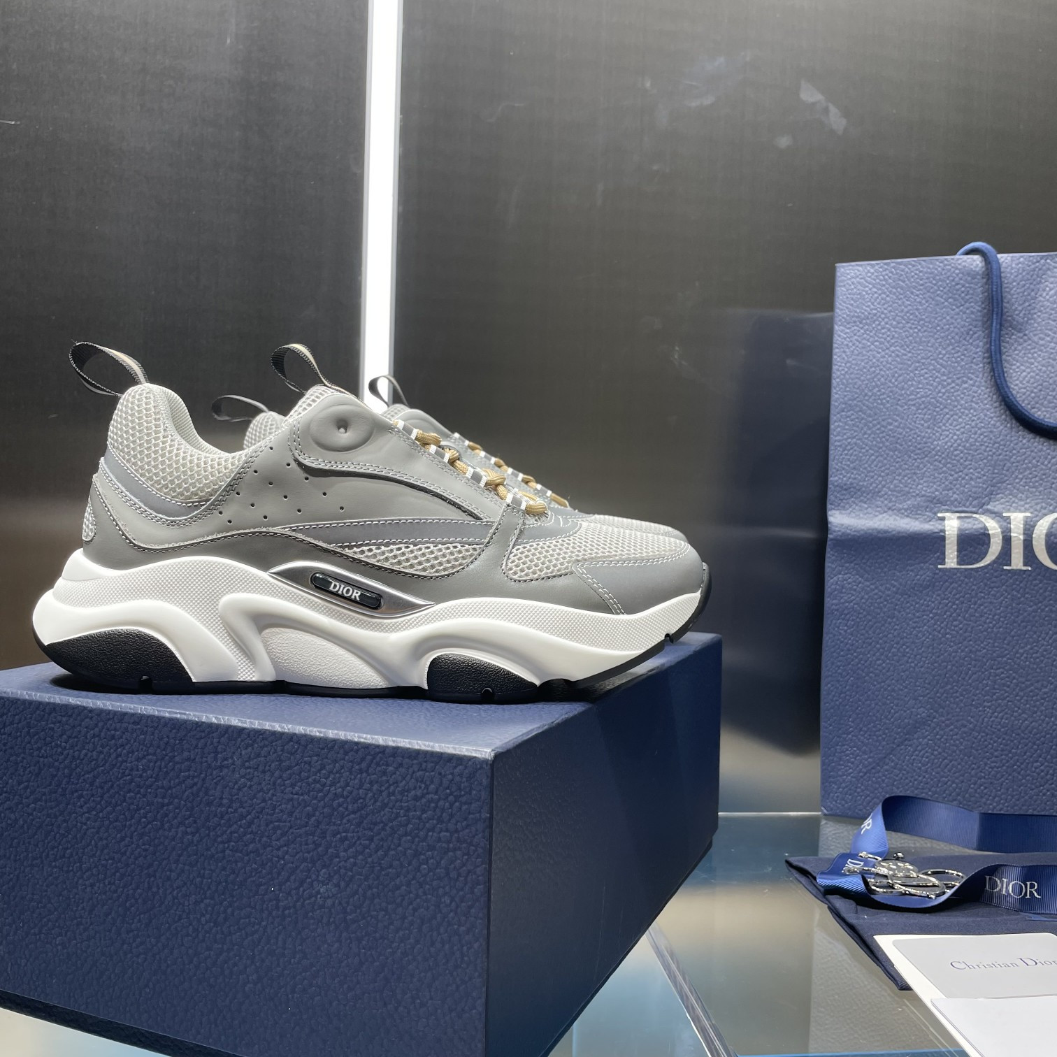 UA Dior B22 gray Sneaker