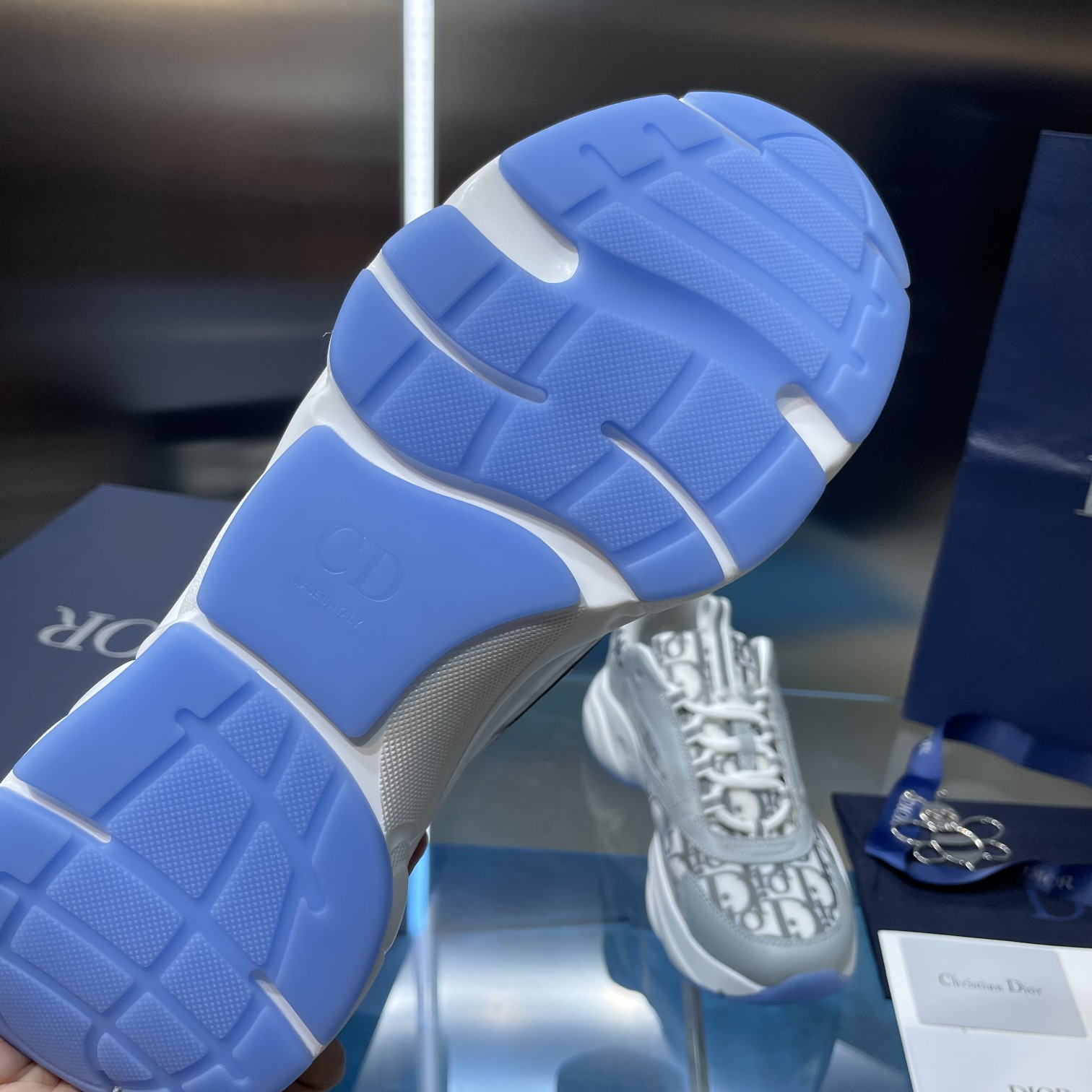 UA Dior B22 gray Sneaker