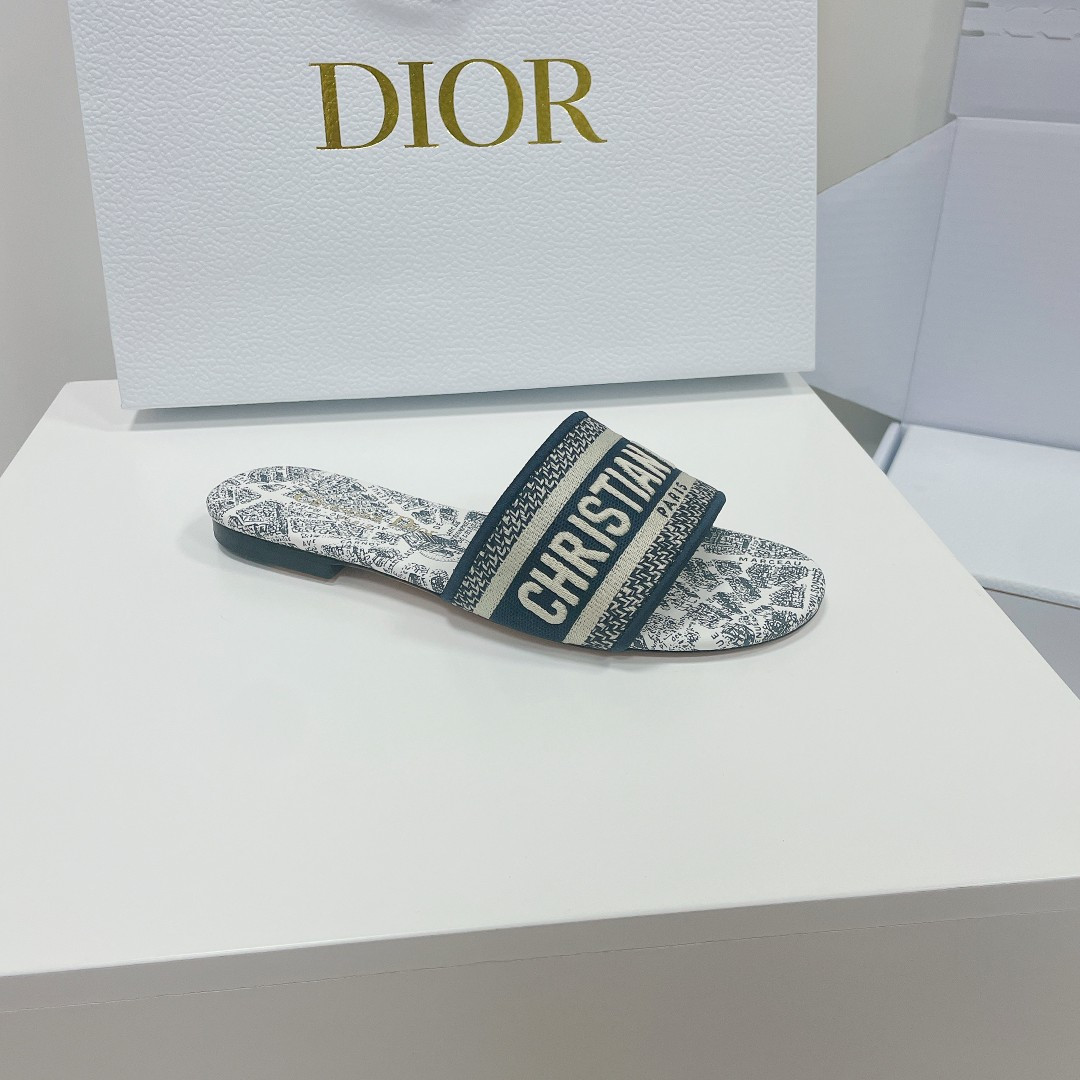 UA DIOR Dway Slide