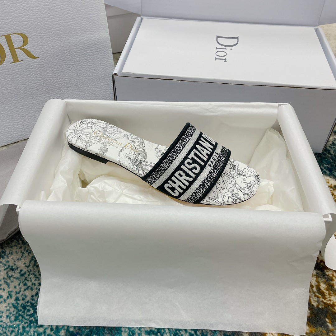 UA DIOR Dway Slide