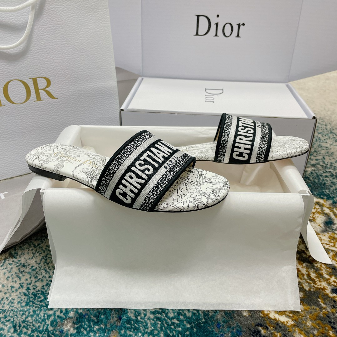 UA DIOR Dway Slide