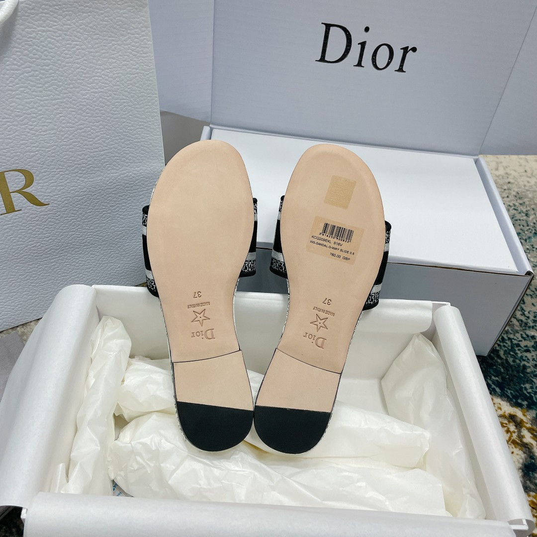 UA DIOR Dway Slide