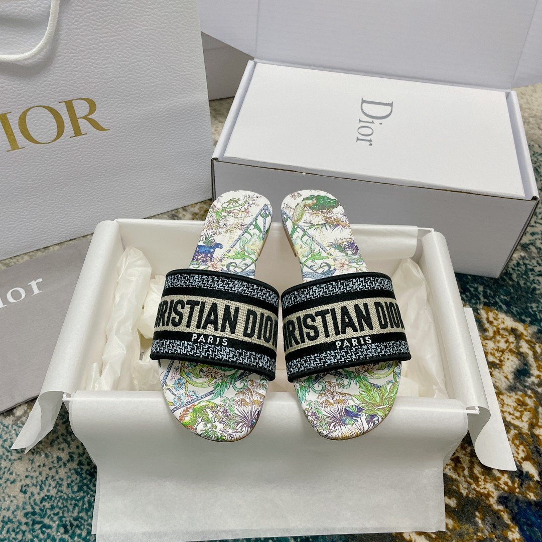 UA DIOR Dway Slide