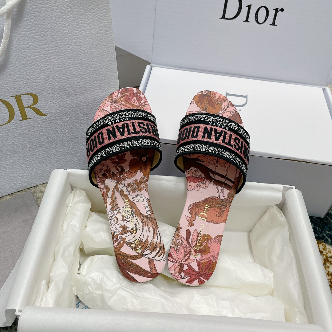 UA DIOR Dway Slide