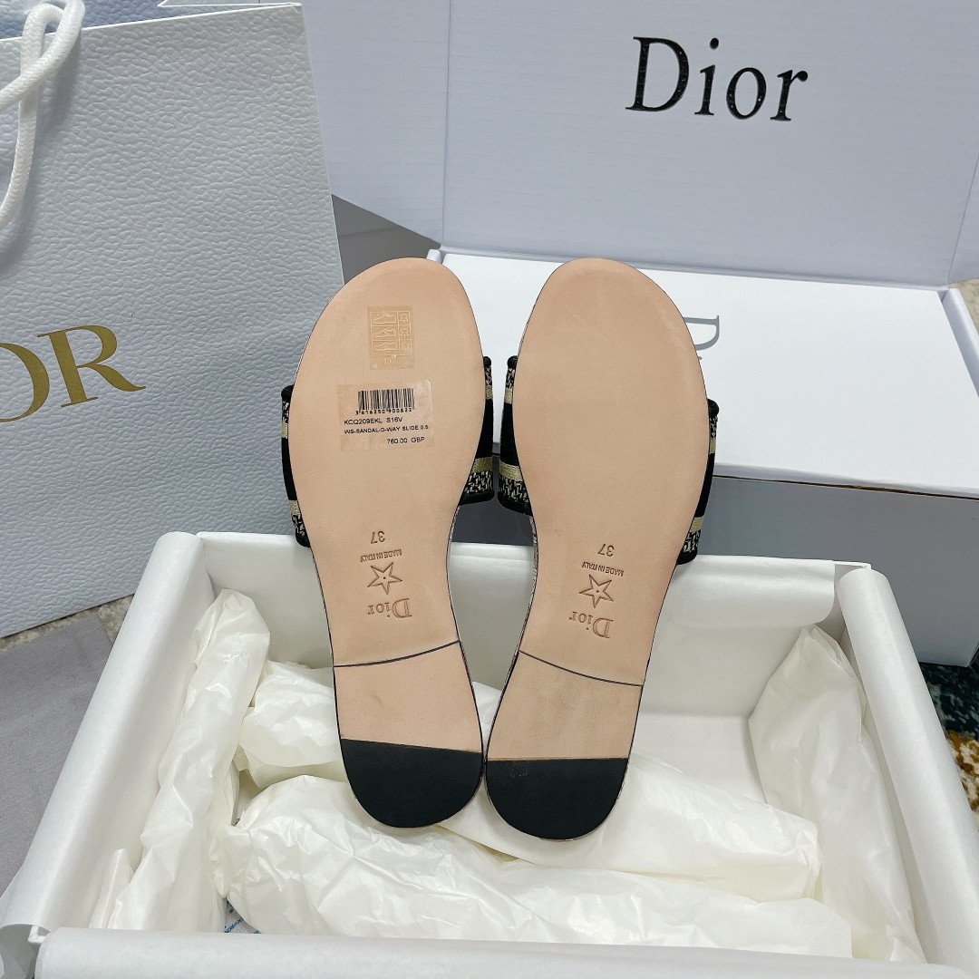 UA DIOR Dway Slide