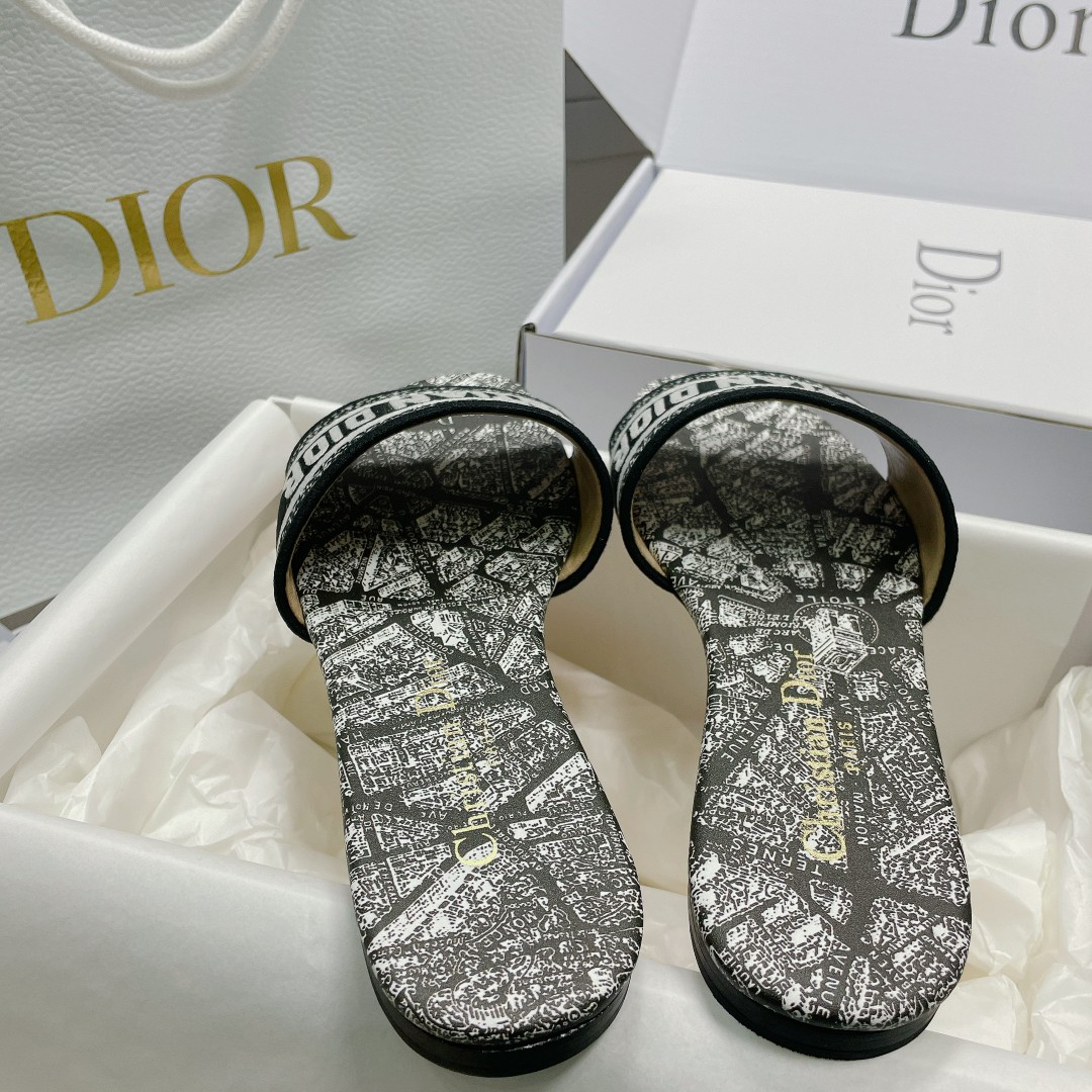 UA DIOR Dway Slide