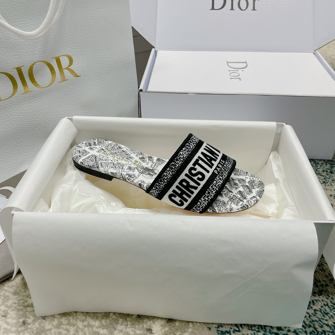 UA DIOR Dway Slide