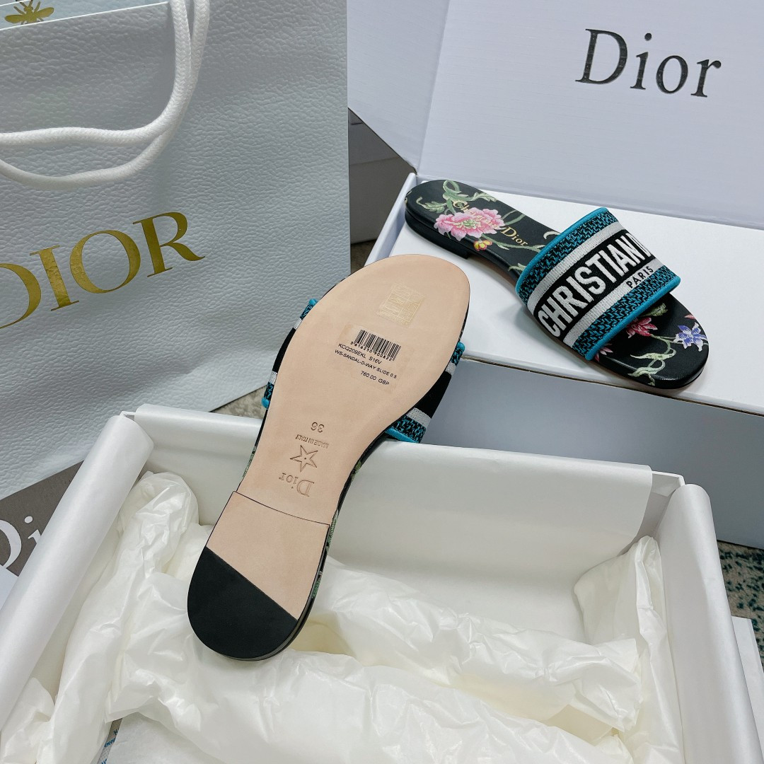 UA DIOR Dway Slide