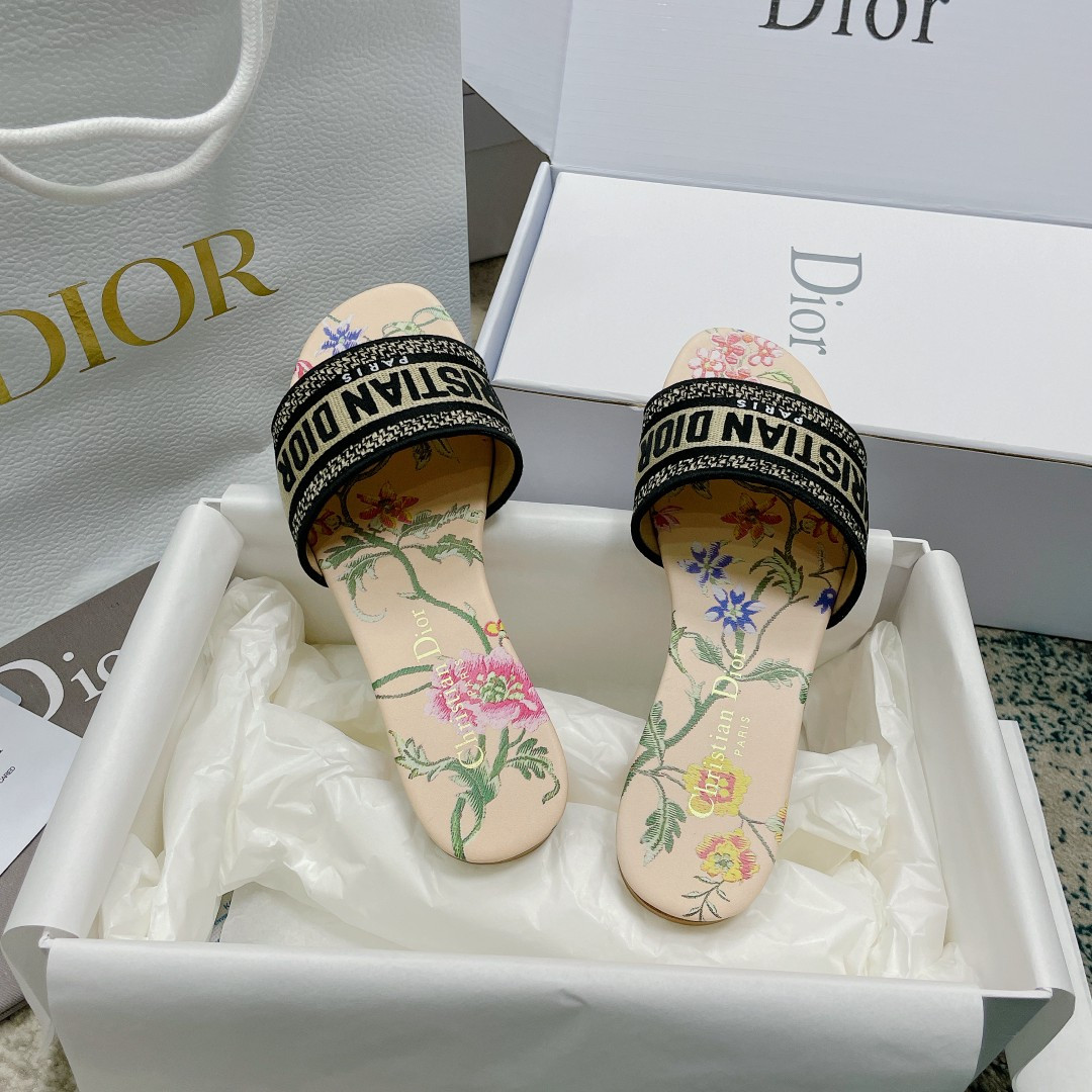 UA DIOR Dway Slide