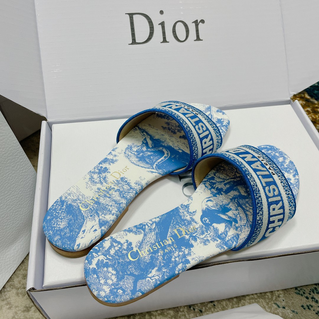 UA DIOR Dway Slide