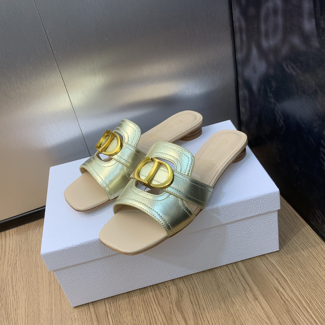 UA DIOR 30 Montaigne Slide