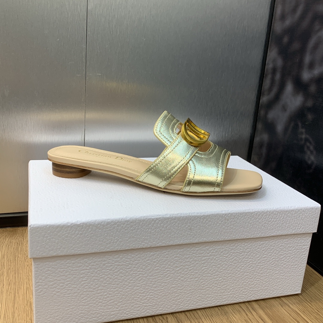 UA DIOR 30 Montaigne Slide