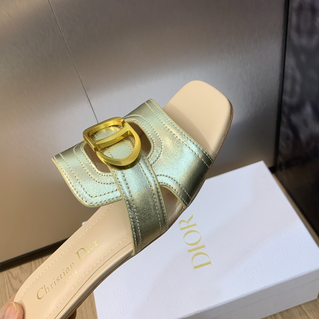 UA DIOR 30 Montaigne Slide