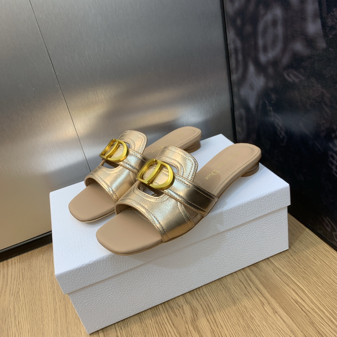 UA DIOR 30 Montaigne Slide