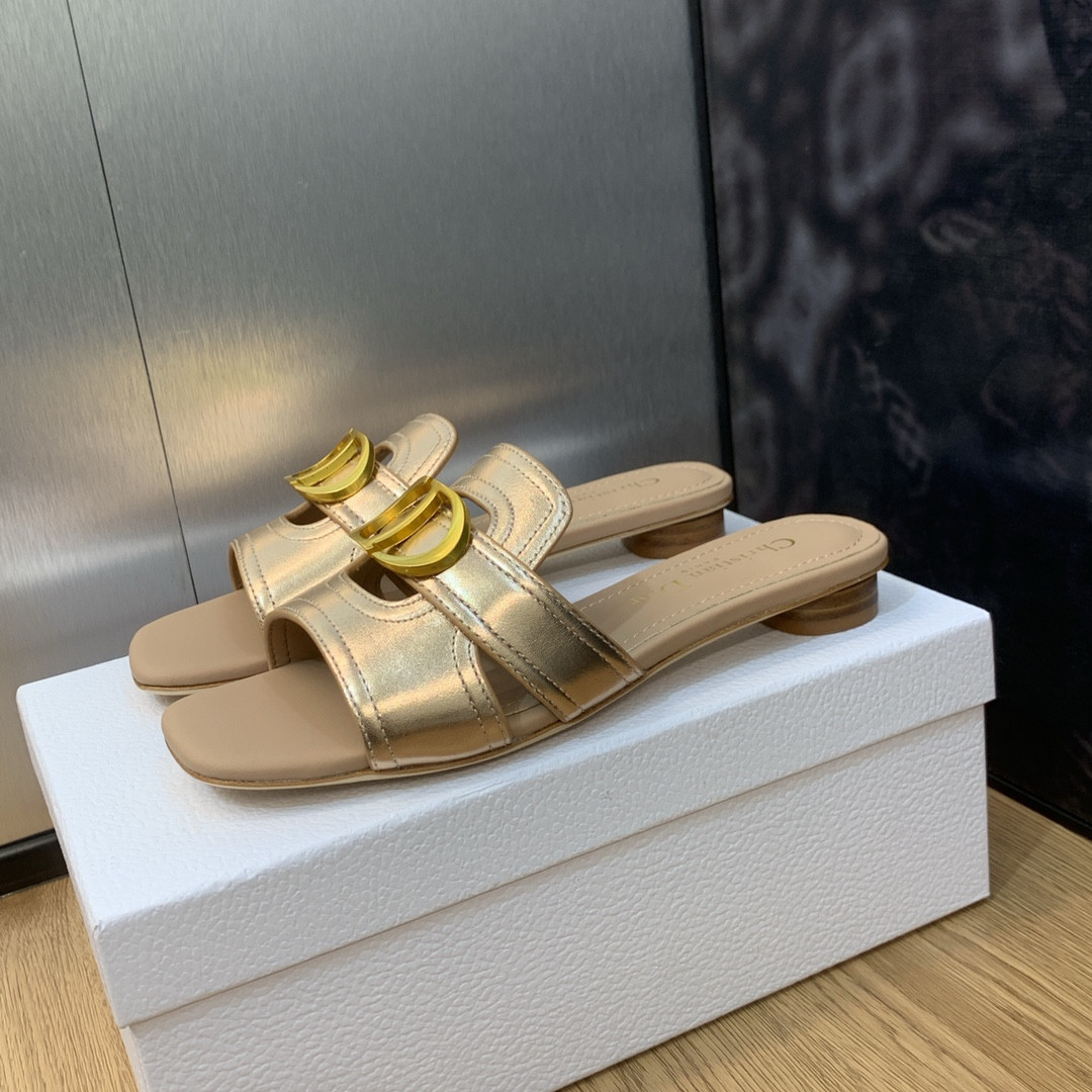 UA DIOR 30 Montaigne Slide