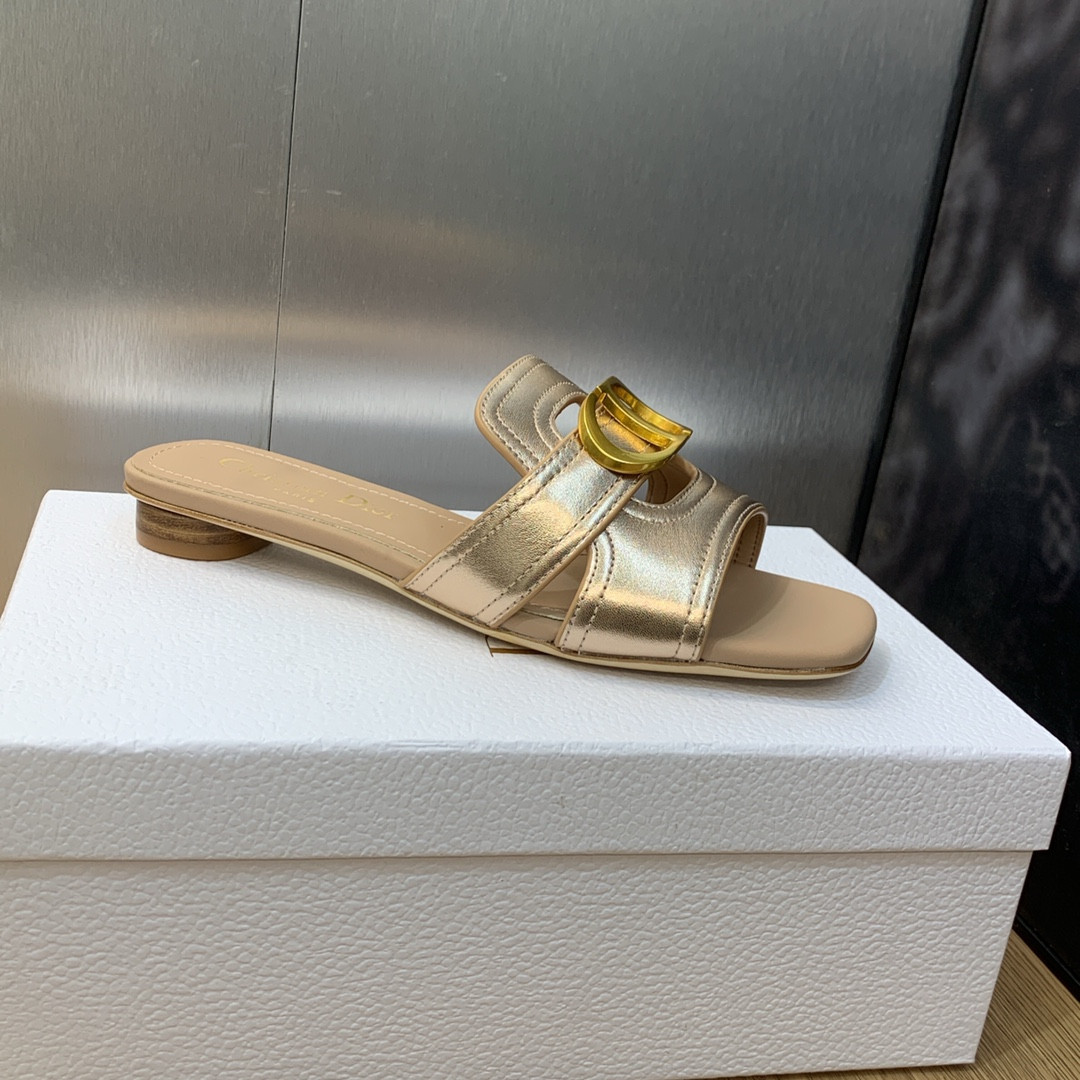 UA DIOR 30 Montaigne Slide