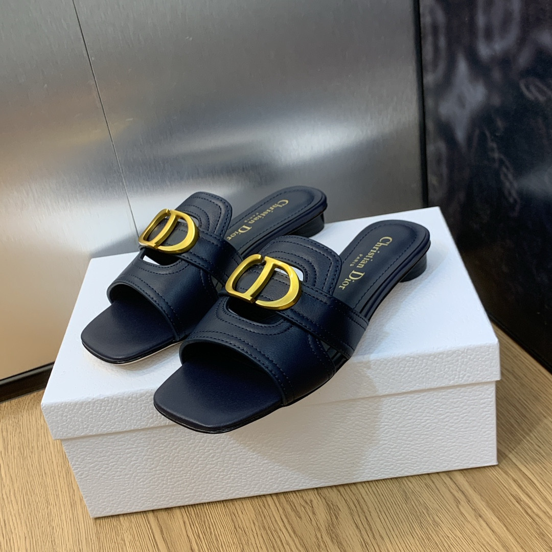 UA DIOR 30 Montaigne Slide