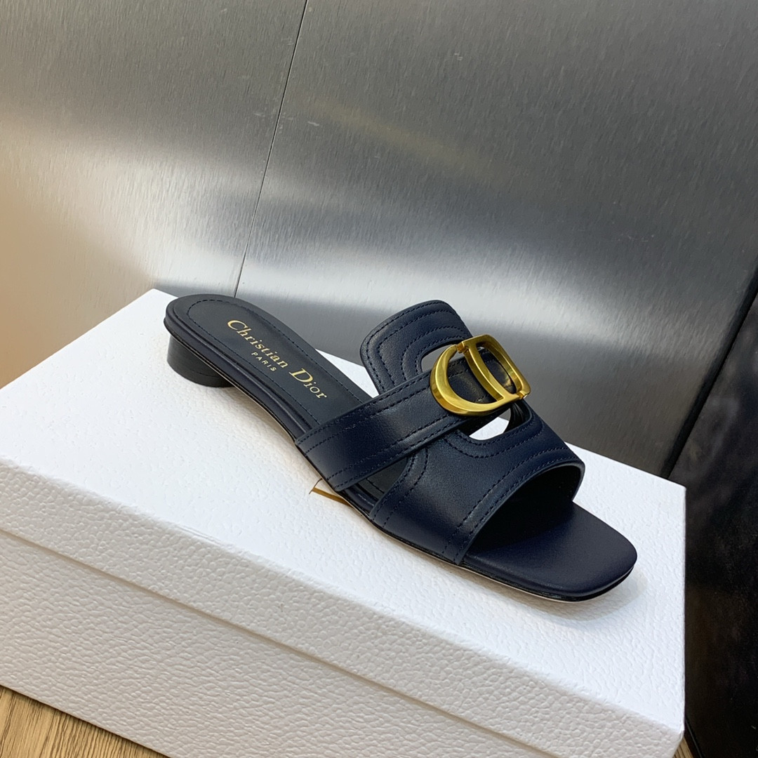 UA DIOR 30 Montaigne Slide