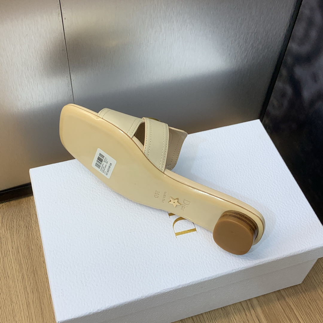 UA DIOR 30 Montaigne Slide